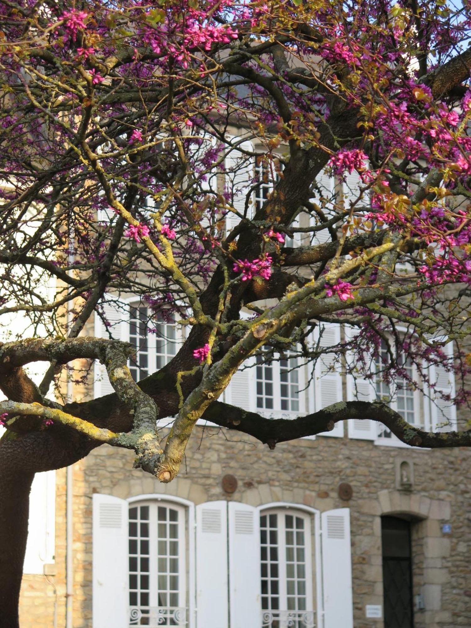 La Villa Garenne Vannes Exterior foto